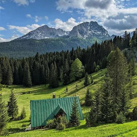 Magic Mountain Villa Žabljak Dış mekan fotoğraf