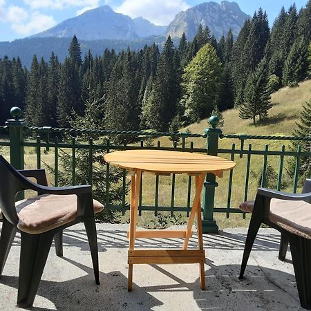Magic Mountain Villa Žabljak Dış mekan fotoğraf