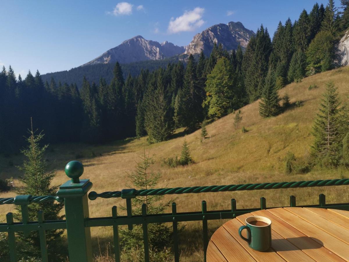 Magic Mountain Villa Žabljak Dış mekan fotoğraf