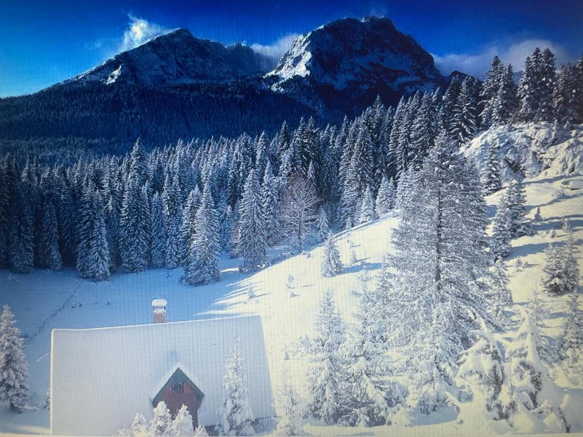 Magic Mountain Villa Žabljak Dış mekan fotoğraf