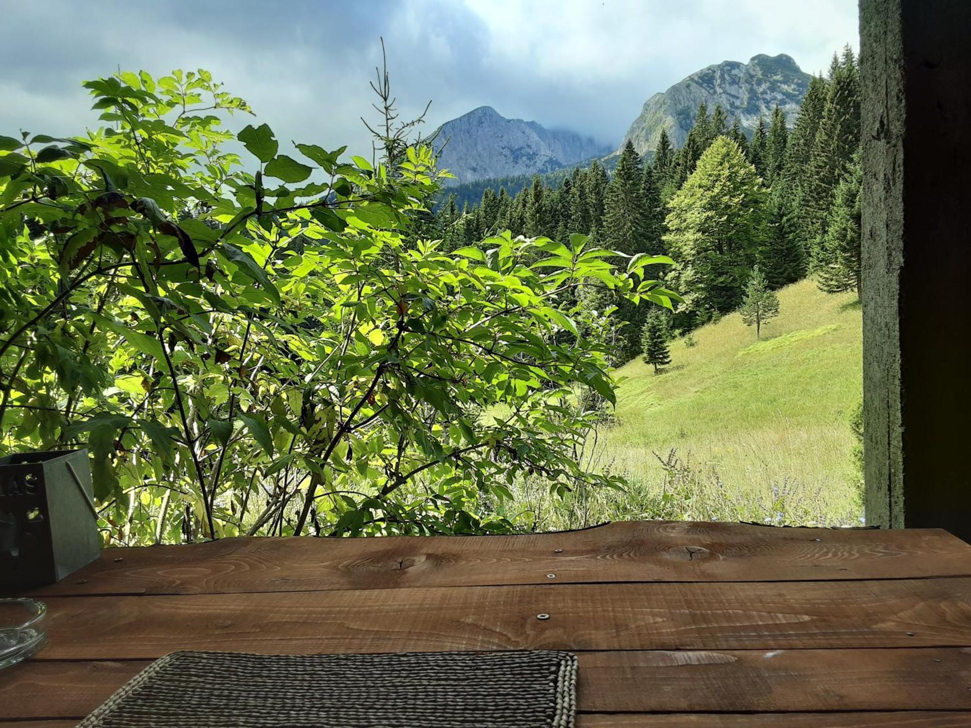 Magic Mountain Villa Žabljak Dış mekan fotoğraf