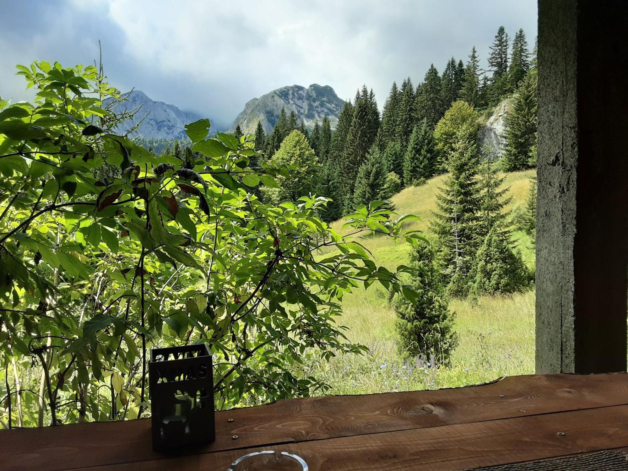 Magic Mountain Villa Žabljak Dış mekan fotoğraf