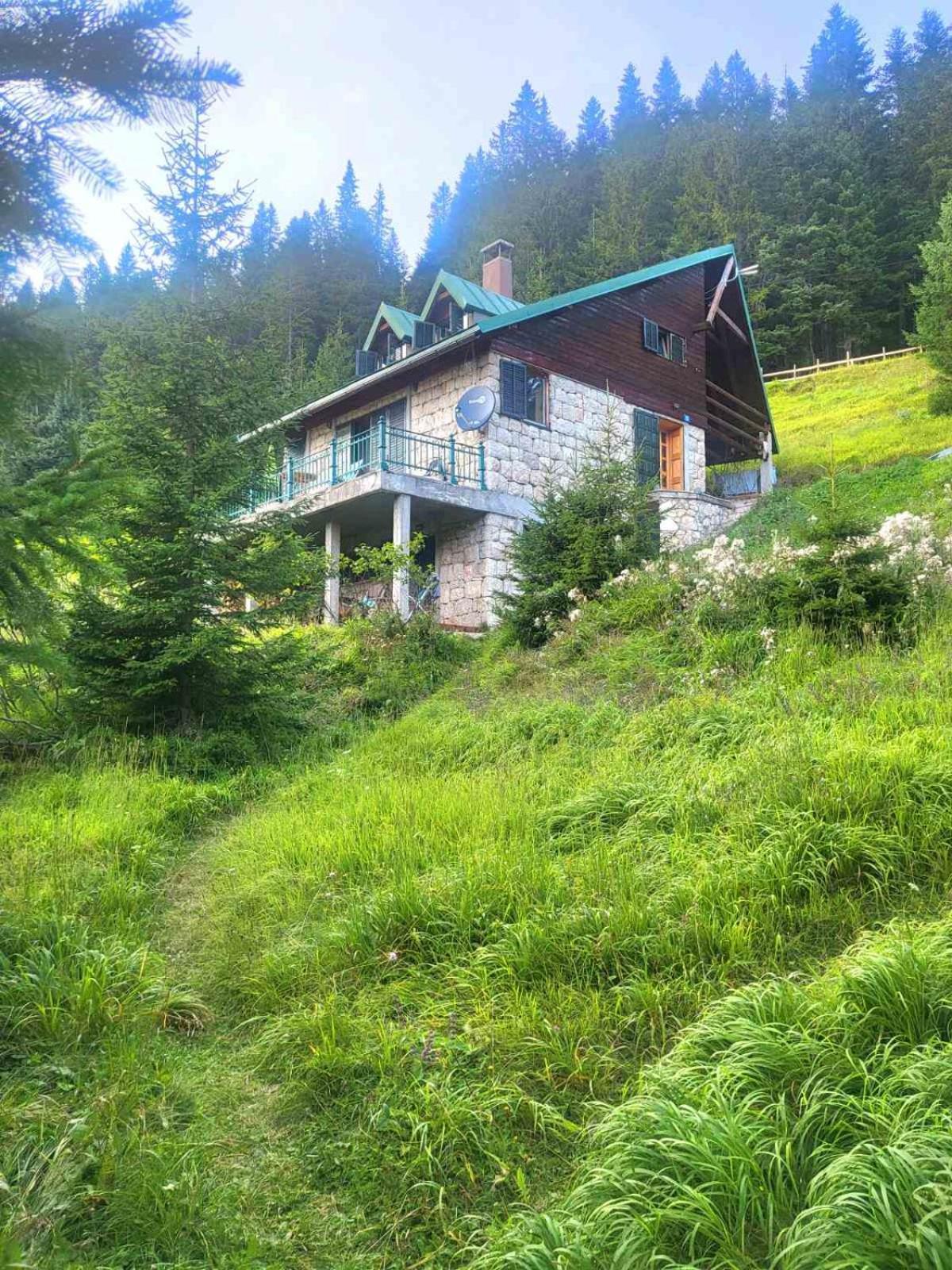 Magic Mountain Villa Žabljak Dış mekan fotoğraf