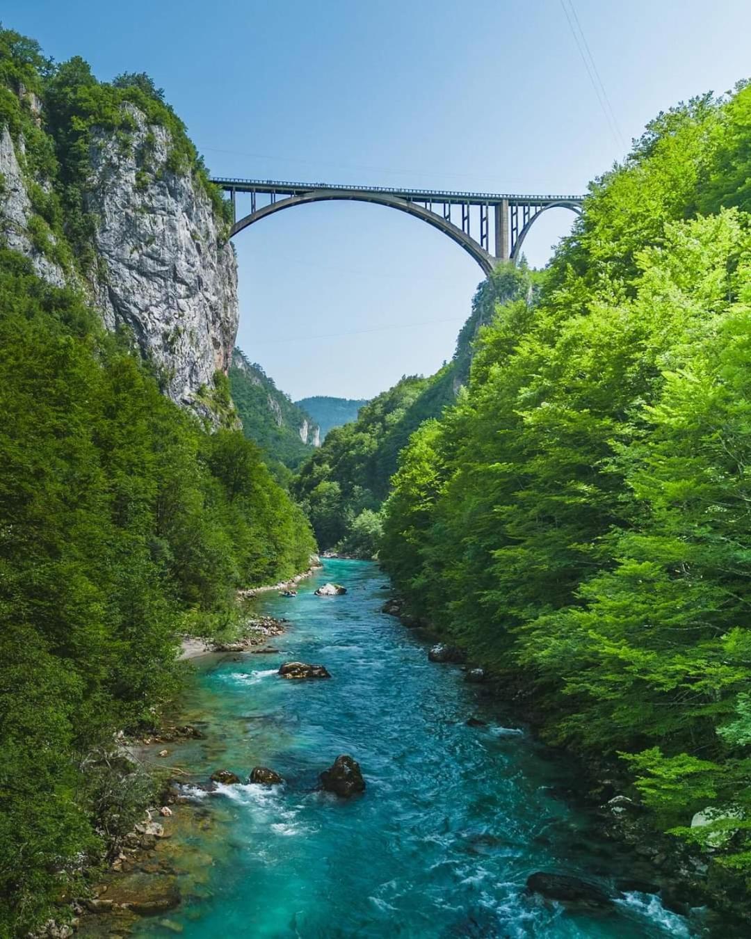 Magic Mountain Villa Žabljak Dış mekan fotoğraf
